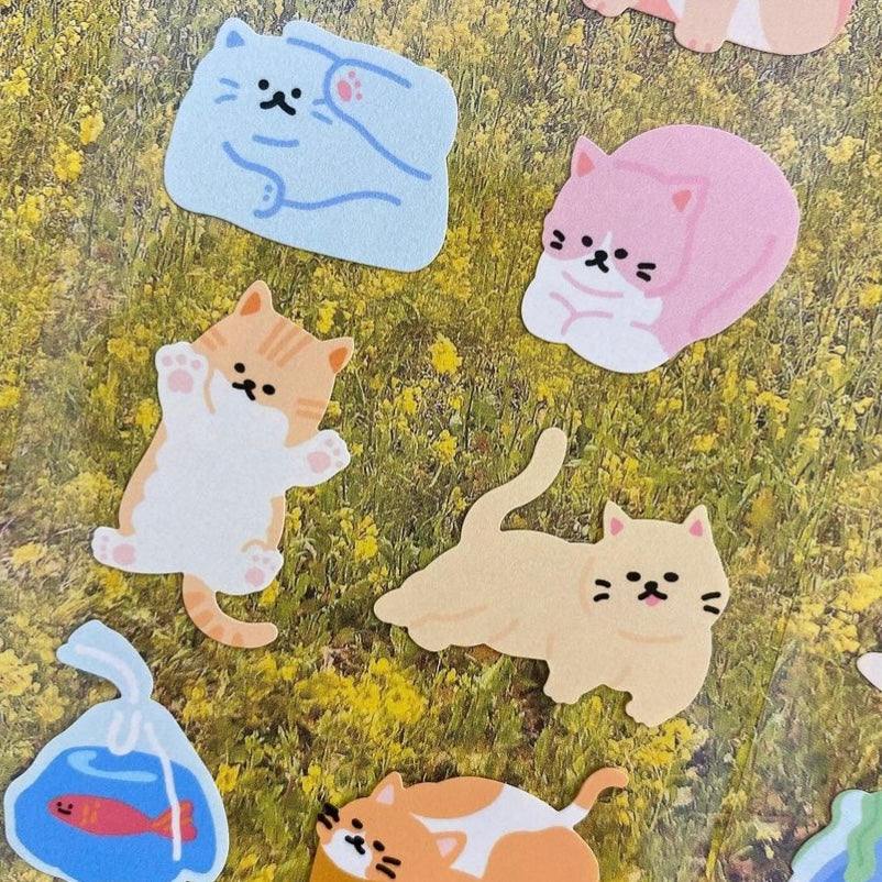 韓國 Pocket Stickers - 貓咪是液體