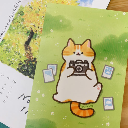 韓國插畫師Doehye 貓咪卡片系列 - 青青草地悠然貓咪