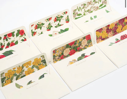 韓國Flower Card Set 系列- May Your Day Blossom(一共6 款）