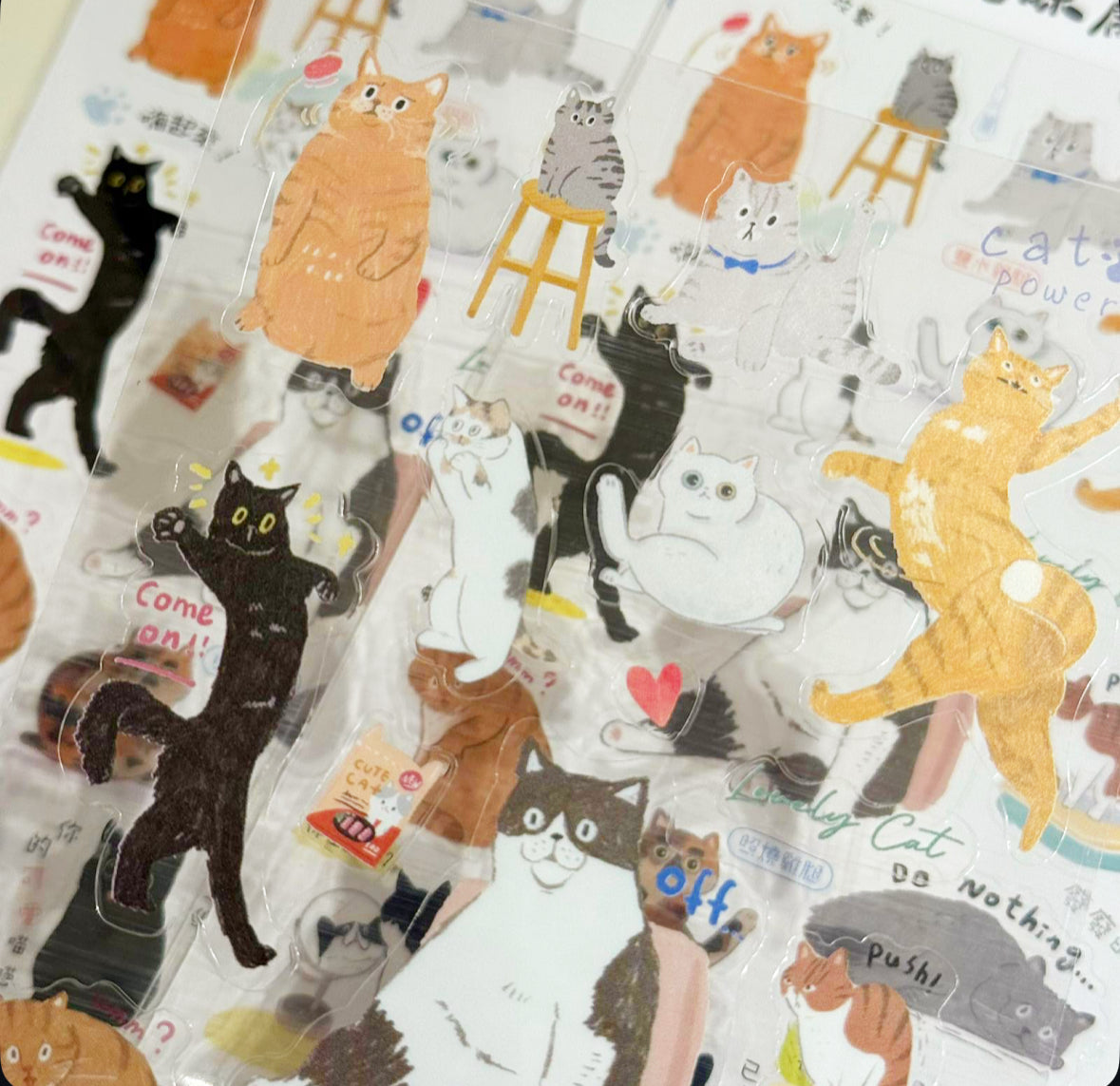 毛孩大集合透明貼紙 - 貓貓及狗狗