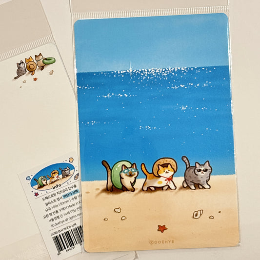 韓國Doehye Drawing卡片系列 - 貓咪的海灘散步時間