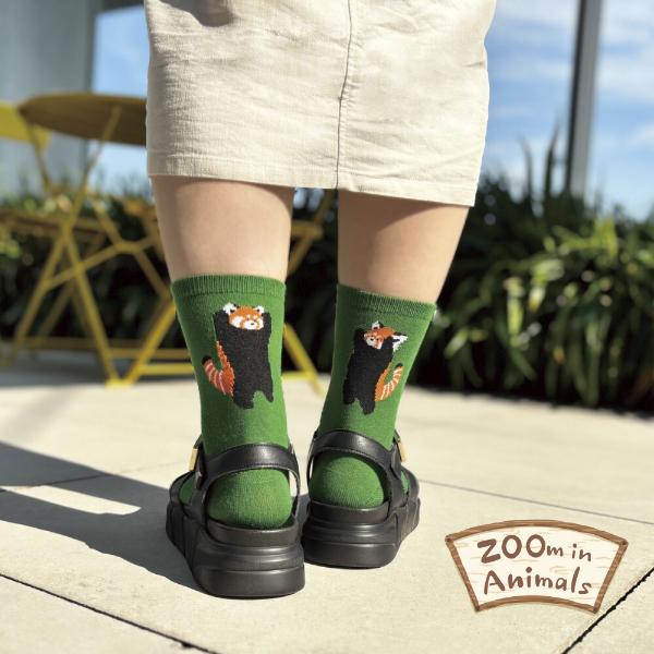 日本Zoo In Animals 可愛動物園襪子 🧦 - 海洋公園的小熊貓  [預購貨品］