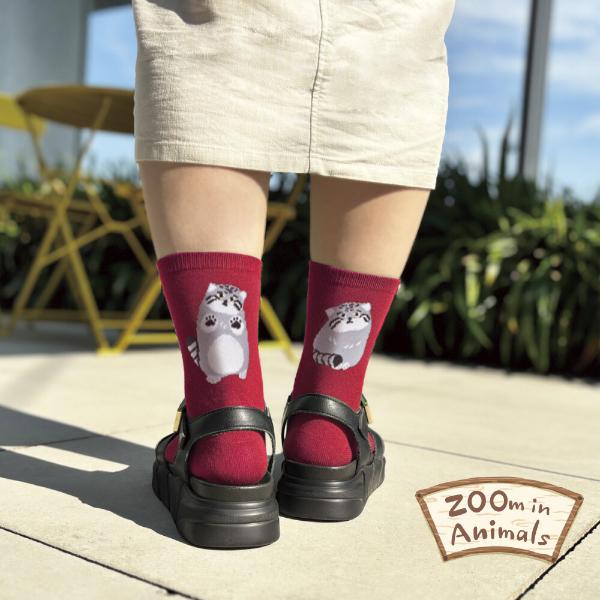 日本Zoo In Animals 可愛動物園襪子 🧦 - 馬努爾貓🐼  [預購貨品］