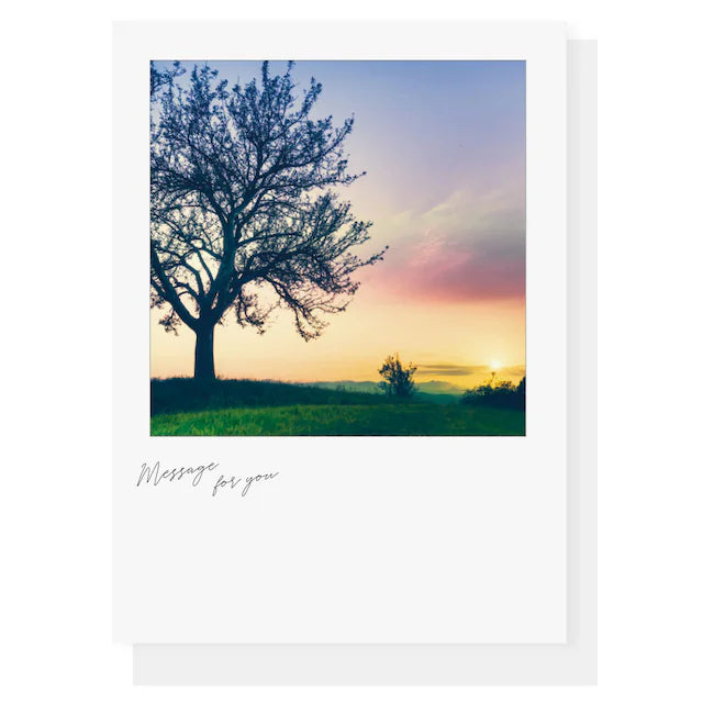 日本Sara Polaroid 空之風景卡片系列 - Twilight Tree［預購商品］