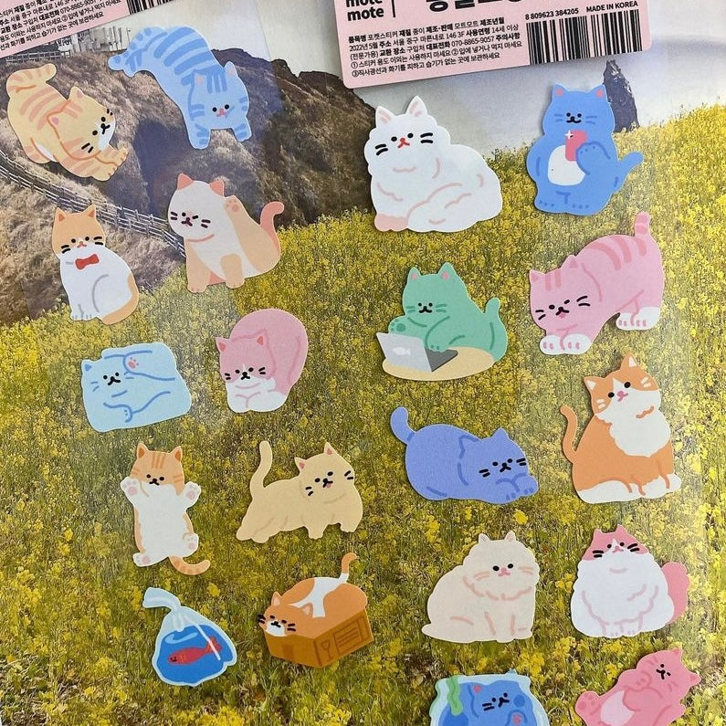 韓國 Pocket Stickers - 貓咪是液體