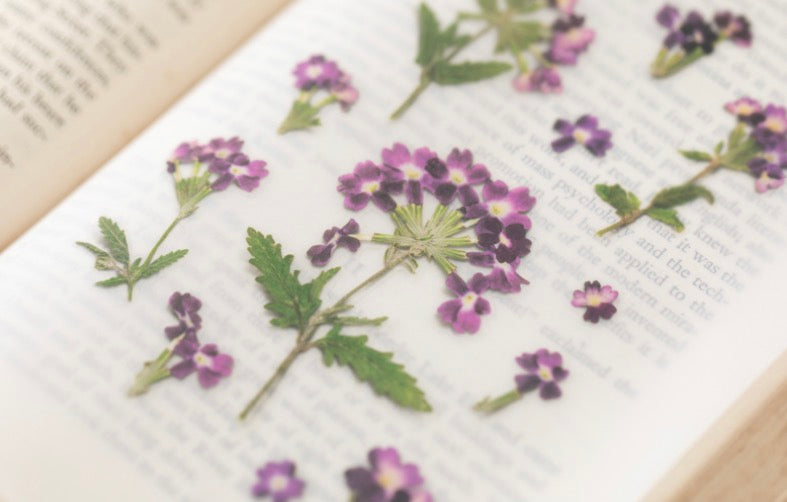 韓國Appree壓花無痕貼紙 - Verbena