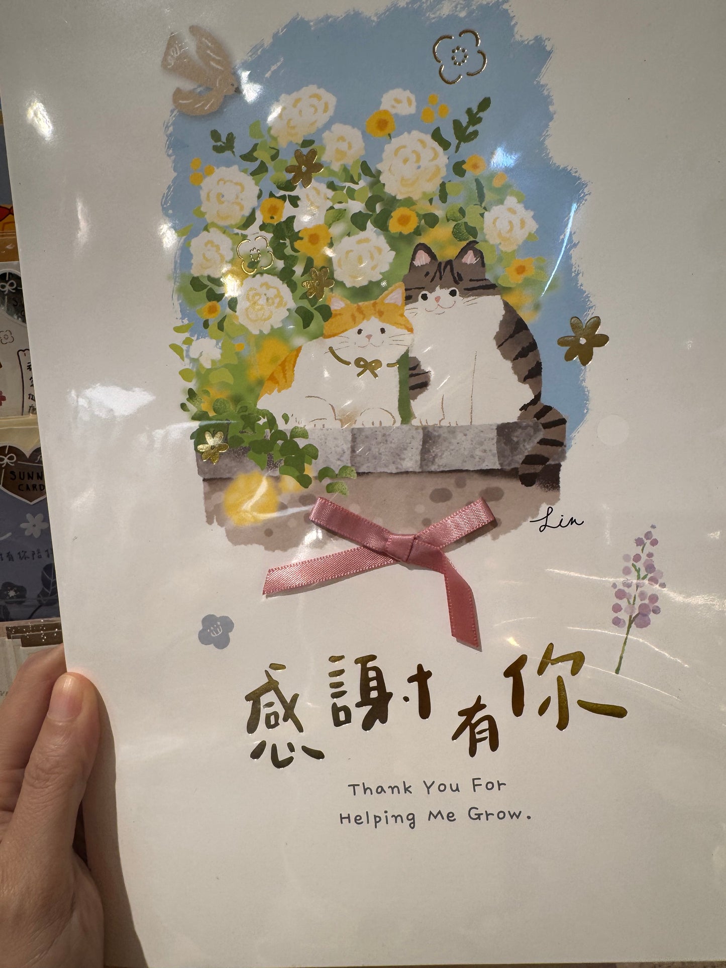貓咪的感謝心意大大卡：感謝有你🩷