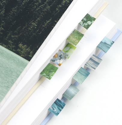 韓國 Melight 美紋 紙膠帶 * 海洋之星 \ 春日之星  [預購貨品，下單後14天出貨]