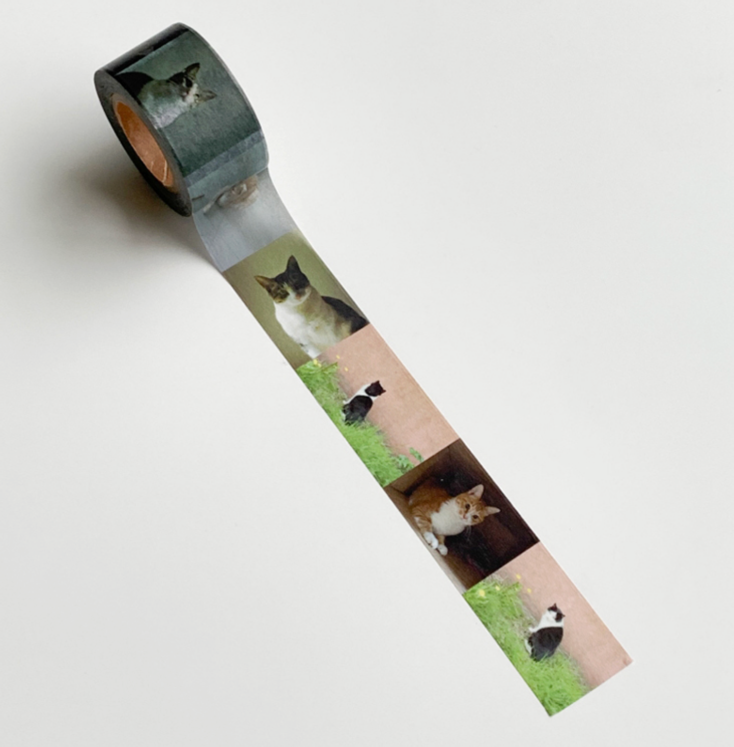 韓國 POPO 紙膠帶* 寶貝貓咪🐱 [預購貨品，下單後14天出貨]