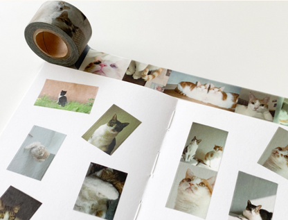 韓國 POPO 紙膠帶* 寶貝貓咪🐱 [預購貨品，下單後14天出貨]